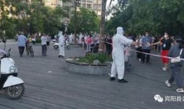 广西宾阳县新闻爆料,突发事件引发关注，官方紧急介入调查