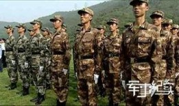 军事节目在线观看,实时军事节目在线观看指南