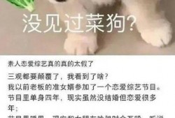 俞悦女友爆料视频