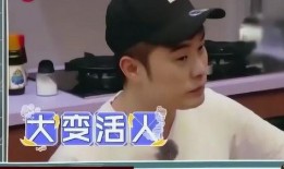张殿伦爆料视频,娱乐圈背后的惊人真相