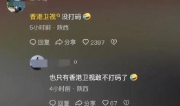 香港老头爆料视频播放网站,揭秘热门视频网站背后的秘密