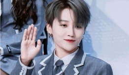 娱乐吃瓜君刘雨昕小说,揭秘娱乐圈背后的秘密与真相