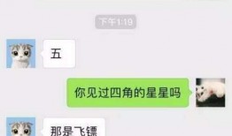 爆料热点搞笑段子视频,笑料百出！揭秘热门搞笑段子视频背后的爆笑瞬间