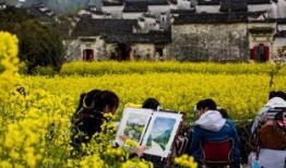 清明最新爆料视频,揭秘神秘事件背后的惊人真相