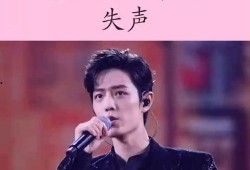 肖战爆料长文视频大全集,娱乐圈幕后真相与个人心路历程