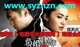 离婚律师在线观看免费,揭秘婚姻破裂背后的法律智慧