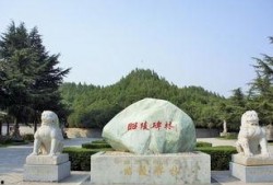 运城袁家村爆料案例最新