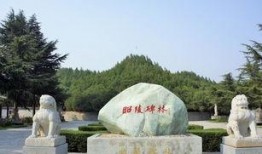 运城袁家村爆料案例最新