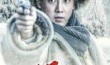 林海雪原电视剧在线观看,重温经典革命传奇，在线观看重温红色岁月