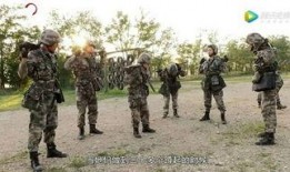 军事节目在线观看,实时军事节目在线观看指南