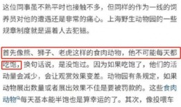 今日揭西爆料视频播放时间,揭秘今日热点事件，播放时间引发热议
