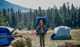 涉足荒野在线观看,跟随涉足荒野，在线领略大自然的壮丽与神秘