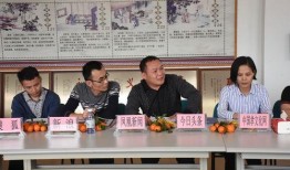 雷州记者爆料新闻报道,揭开当地事件背后真相