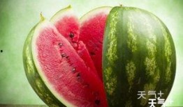 吃瓜的群qq网红,揭秘网红背后的故事