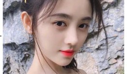 圈内八卦爆料鞠婧祎,揭秘女神背后的故事与争议”