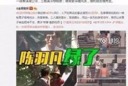 河南出轨爆料事件视频,真相与争议交织