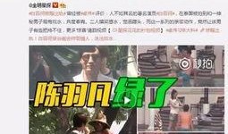 河南出轨爆料事件视频,真相与争议交织