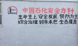百合加油站爆料视频大全,揭秘幕后真相与精彩瞬间