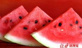 泰蜜和西瓜的新闻爆料,娱乐圈新动态引热议