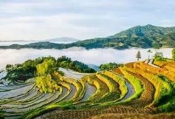 《山谷》在线观看,探寻自然奇观与心灵之旅