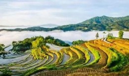 《山谷》在线观看,探寻自然奇观与心灵之旅