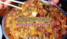 潮汕酸菜爆料视频完整版,传统工艺与现代风味碰撞的美食传奇