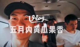 娱乐主播带你吃瓜,揭秘娱乐圈幕后故事