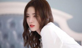 圈内八卦爆料鞠婧祎,揭秘女神背后的故事与争议”