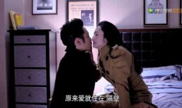 离婚律师在线观看免费,揭秘婚姻破裂背后的法律智慧