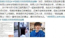 网红爆料陈翔视频大全,陈翔视频大全背后的故事