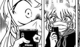 新兰最新爆料,背后惊人真相曝光！