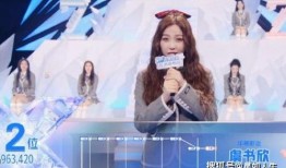 娱乐吃瓜君刘雨昕小说,揭秘娱乐圈背后的秘密与真相