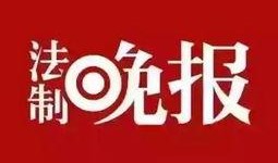 新闻线索爆料举报网站,助力社会监督，共建和谐网络环境