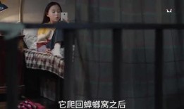 大姐姐技能爆料视频大全