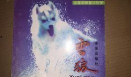 雪狼手机在线观看,在线观看，尽享冰雪激情之旅