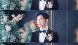 王子彦最新爆料,揭秘娱乐圈惊人内幕