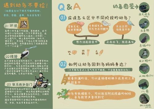 吃瓜网每日大赛往期内容